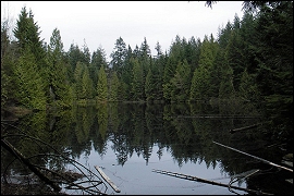 Coquitlam Canada : Mundy Lake